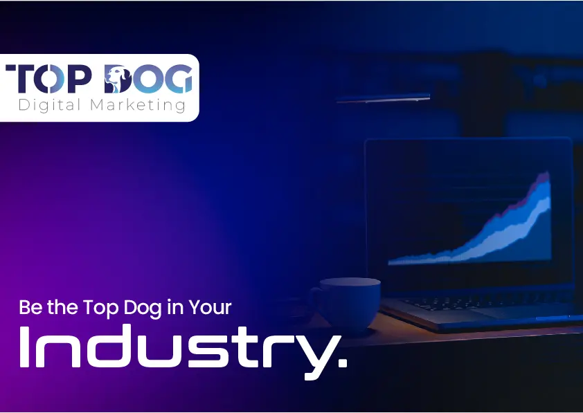 topdog portfolio 1
